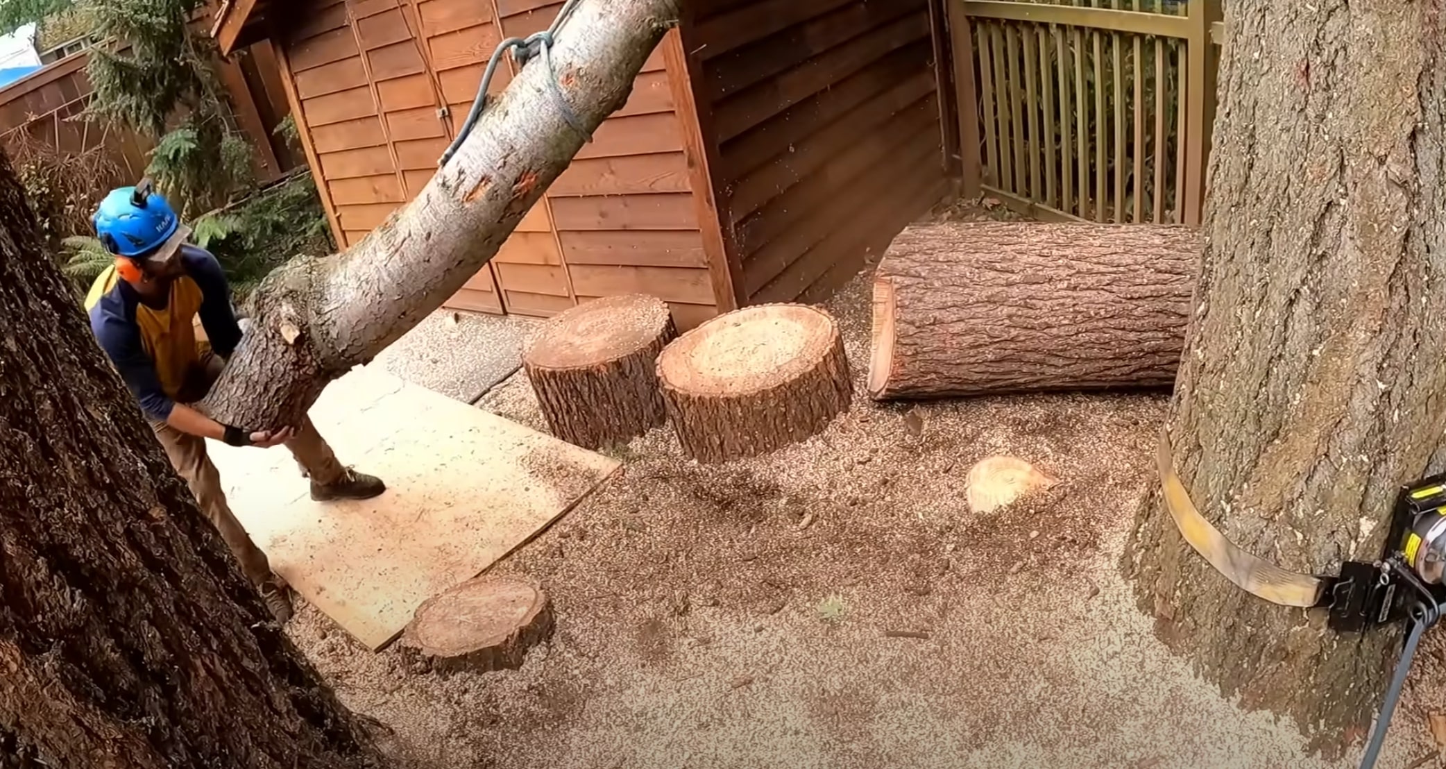 Emergency tree service crew removing hazardous tree from backyard